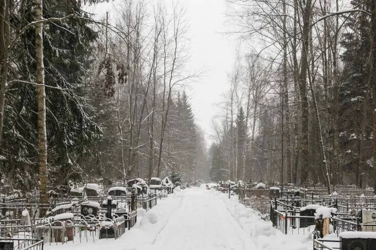 Богородское кладбище (д. Богородское)